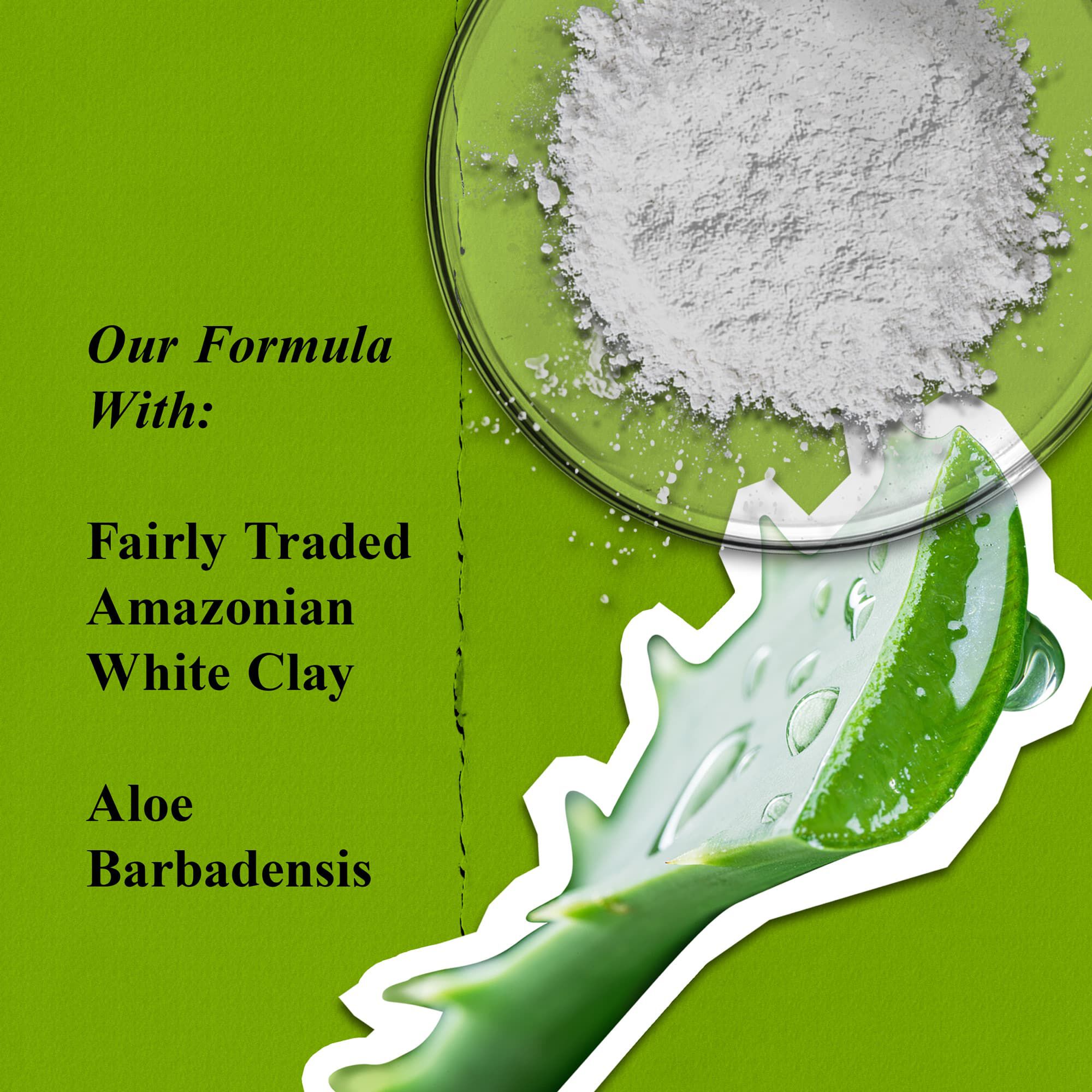 Rare Earth Deep Pore Cleansing Mask